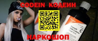 тгк Кингисепп