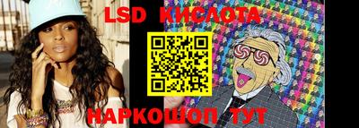 тгк Кингисепп