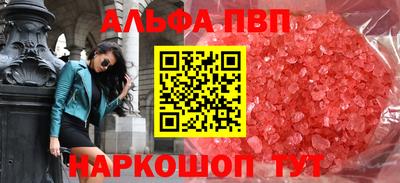 тгк Кингисепп