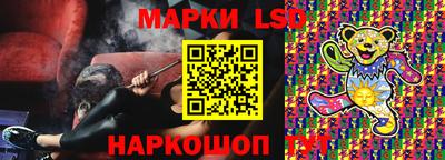 тгк Кингисепп