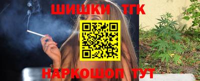 тгк Кингисепп