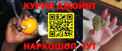 тгк Кингисепп
