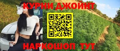 тгк Кингисепп