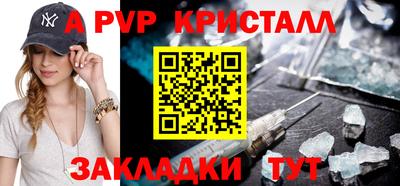 тгк Кингисепп