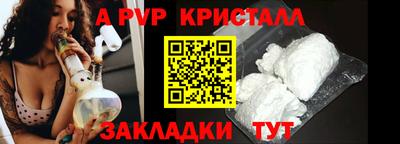 тгк Кингисепп