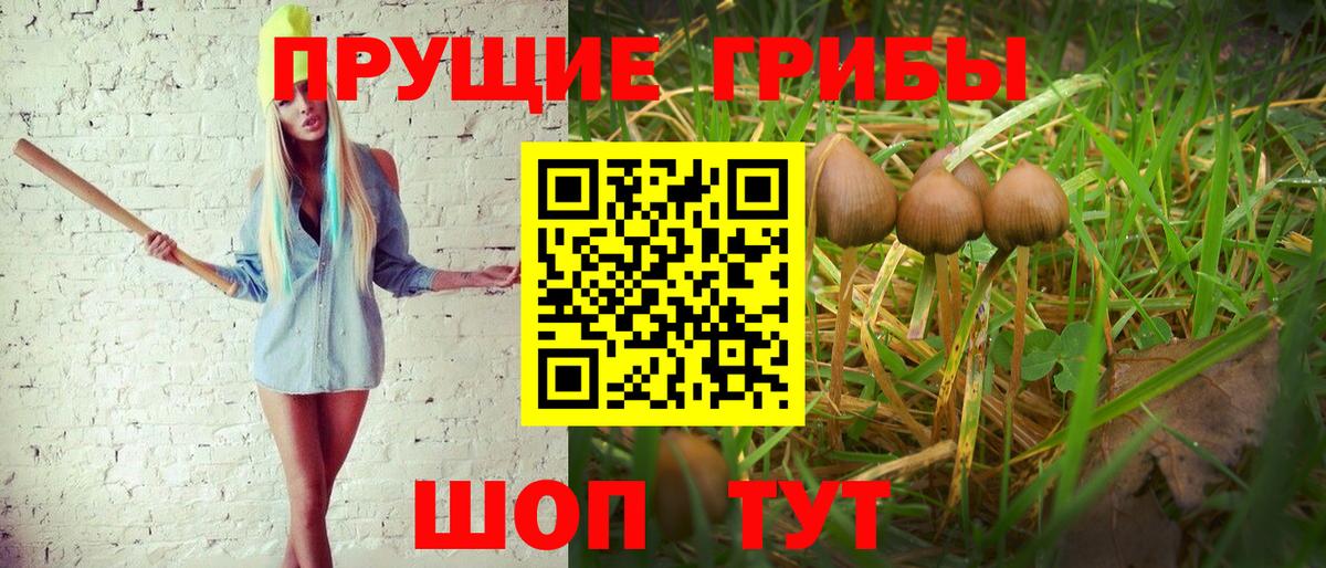 Псилоцибиновые грибы мухоморы  Псилоцибиновые грибы Psilocybe  Кумертау  Вход с VPN 